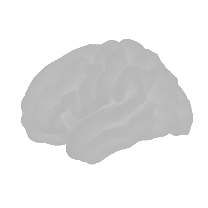 left hemisphere cortical surface